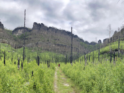 Pravčická brána / Prebischtor